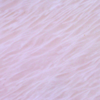 حجر المجوهرات