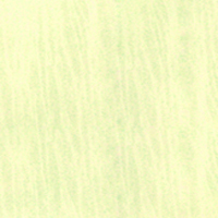 حجر المجوهرات